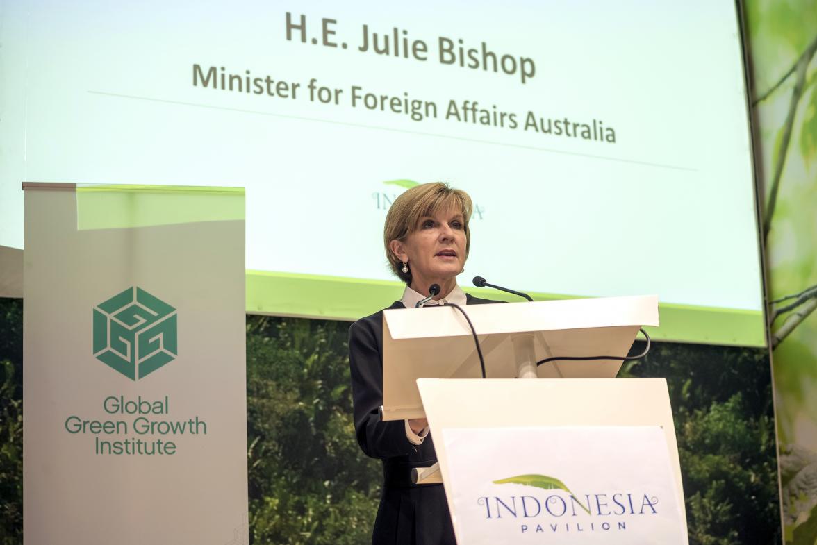 Minister Bishop giving a speech at The Pathway to a Low Carbon and Climate Resilient Economy event hosted at the Indonesian Pavilion at COP21 on Tuesday 8 December, 2015