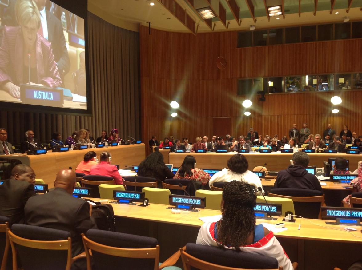 Foreign Minister Julie Bishop speaks at the World Conference of Indigenous Peoples at the United Nations in New York on 22 September, 2014.