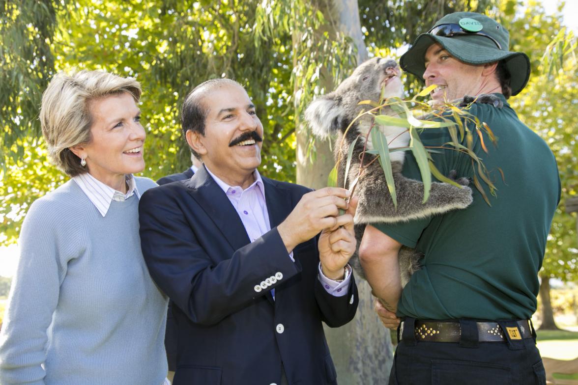 Foreign Minister Julie Bishop and Kuwait Ambassador Khaled Al-Shaibani feed a koala at Sandalford Winery.