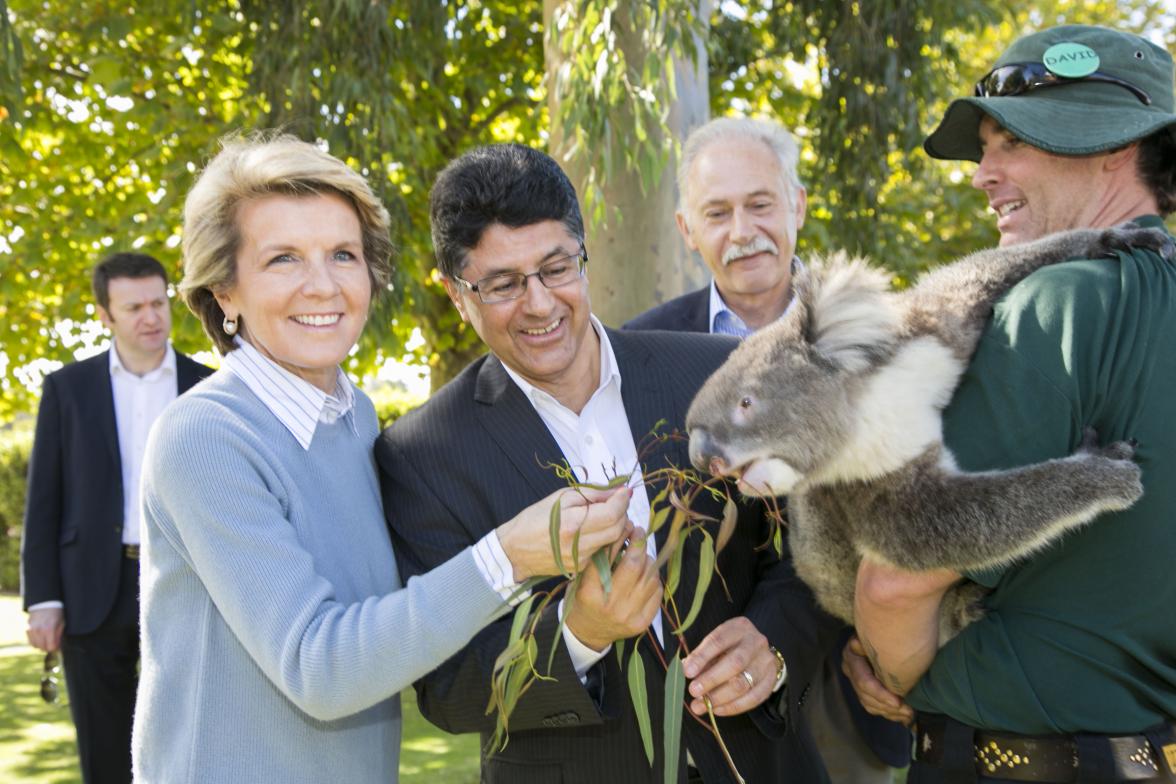 Foreign Minister Julie Bishop and Libyan Ambassador to Australian Musbah Allafi feed a koala at Sandalford Winery.