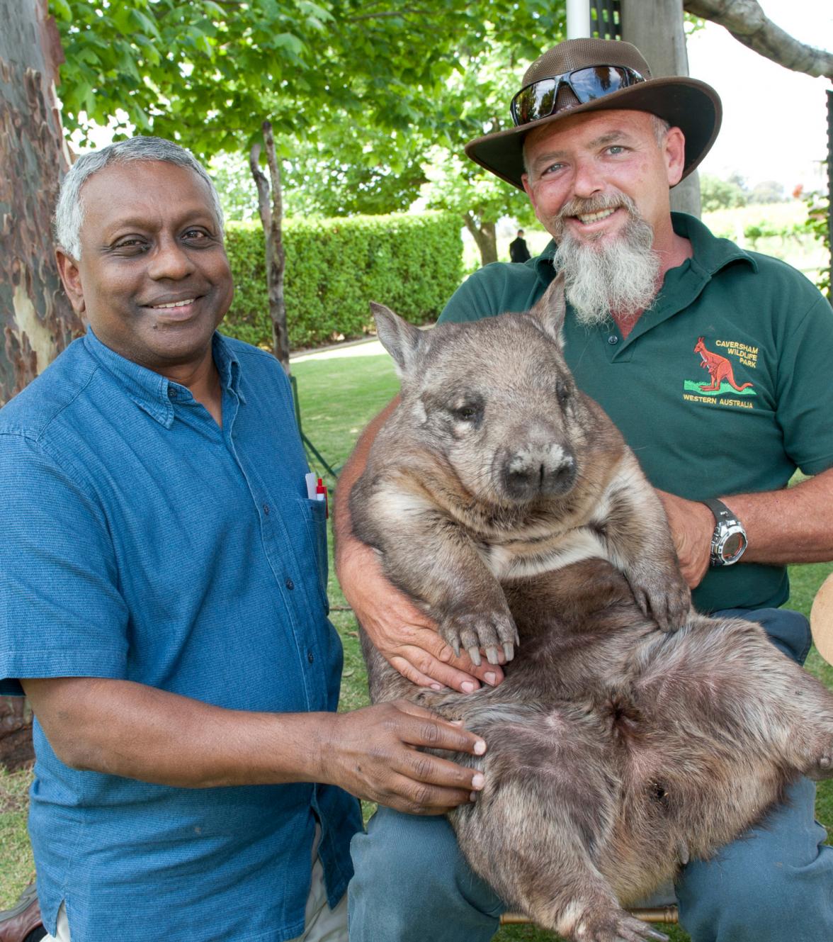 K.V. Bhagirath, Secretary-General of IORA pats a wombat at Sandalford Winery in WA’s Swan Valley.

1 November 2013