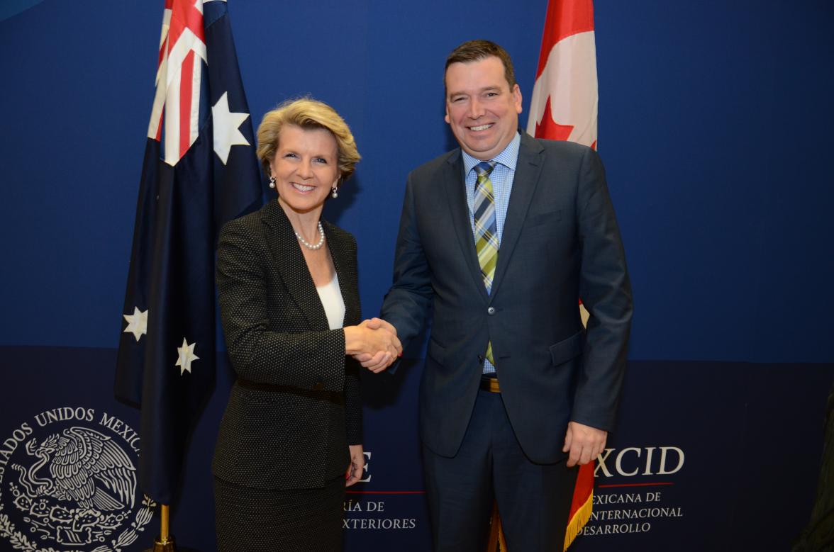 The Minister for Foreign Affairs of Australia, The Hon Julie Bishop MP and the Minister for International Development of Canada, The Hon Christian Paradis, during a bilateral meeting in the margins of the First High-Level Meeting of the Global Partnership