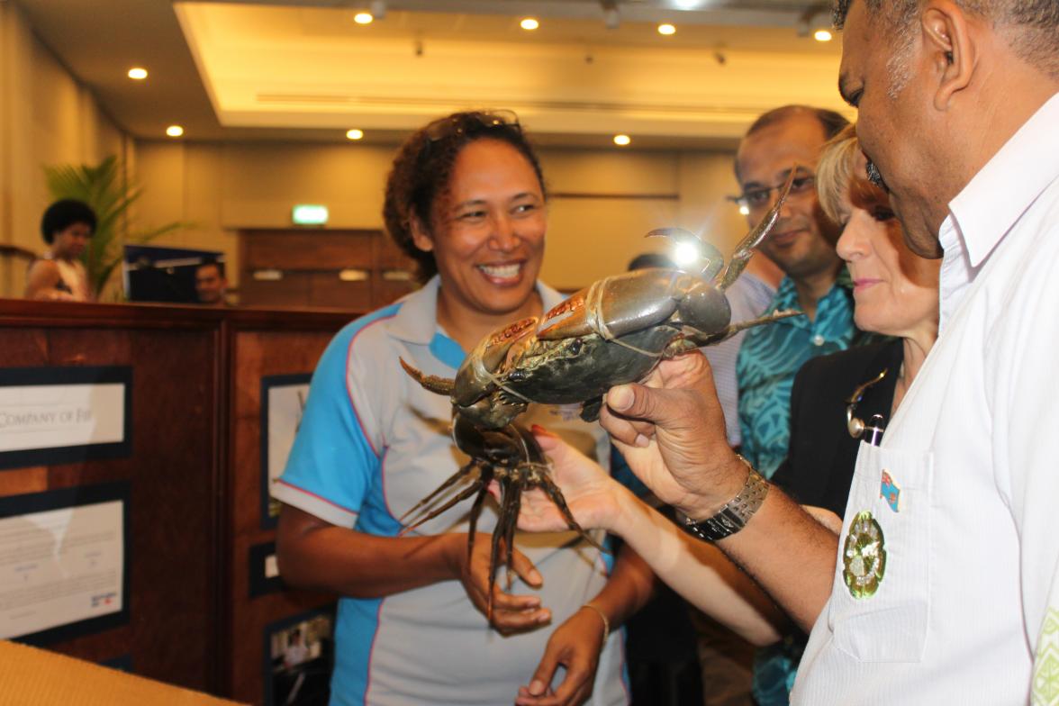 Foreign Minister Julie Bishop and Fijian Trade Minister Faiyaz Koya MP examine crabs raised by Crab Company of Fiji under Australia's Market Development Facility. 1 November 2014.