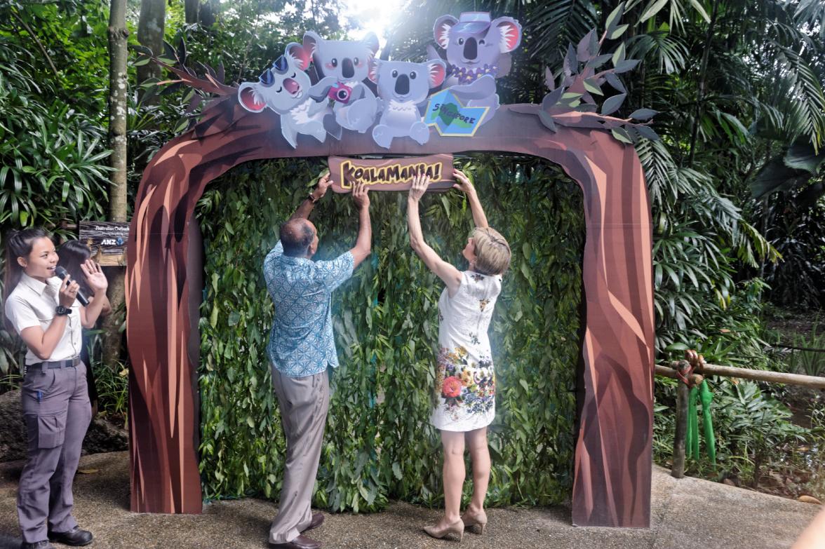 Australia's Foreign Minister Bishop and Singapore's Foreign Minister Shanmugam launch Singapore Zoo's new koala exhibit to mark 50 years of diplomatic relations and 50 years of Singaporean independence. 20 May 2015.