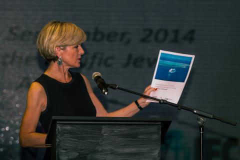 Foreign Minister Julie Bishop launching an Australian funded study on the economic benefits of cruise tourism in Samoa