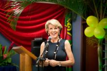 Foreign Minister Julie Bishop delivers a speech at a dinner hosted by Vanuatu Prime Minister Hon Moana Carcasses Katokai (18 December 2013)